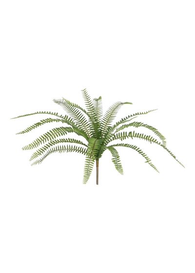 Felce artificiale Asplenium 50cm