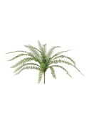Felce artificiale Asplenium 50cm