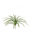 Felce artificiale Asplenium 50cm