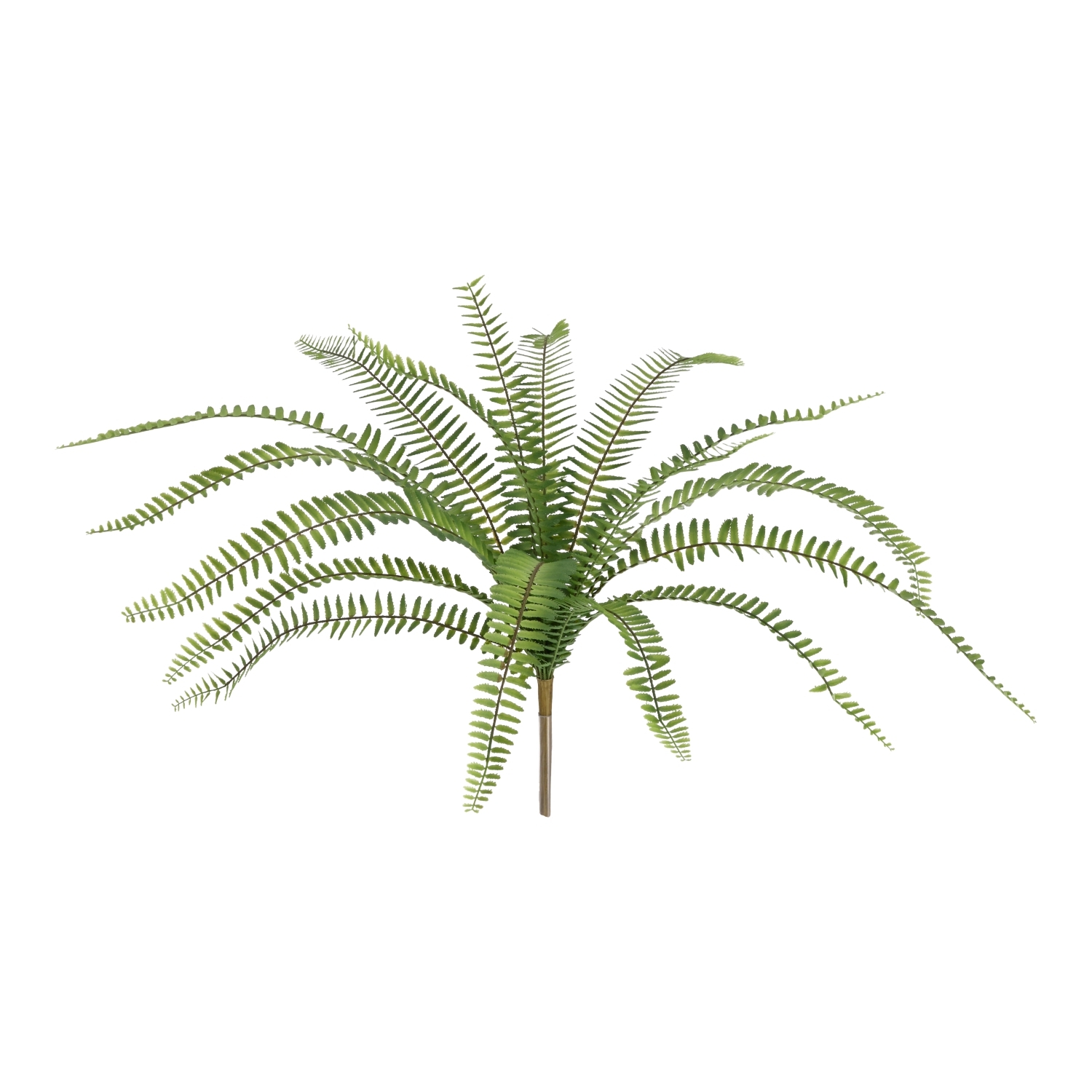 Felce artificiale Asplenium 50cm