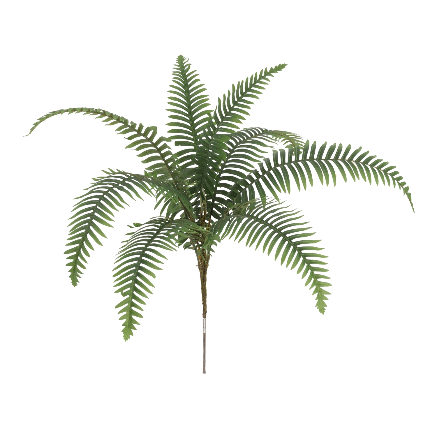 Felce artificiale Dryopteris verde 70cm