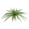 Felce artificiale Boston D65cm RT
