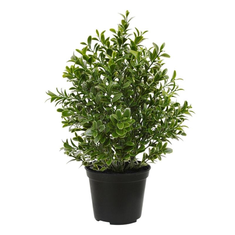 Pianta artificiale di bosso 30 cm pot