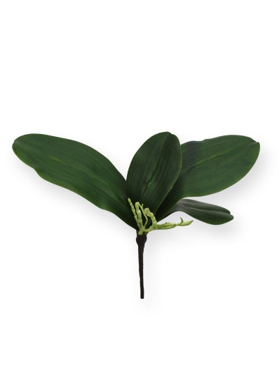 Bouquet di foglie di orchidea S x4