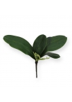 Bouquet di foglie di orchidea S x4