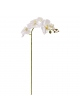 Fiore artificiale Phalaenopsis 90 cm bianco