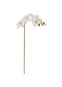 Fiore artificiale Phalaenopsis 90 cm bianco