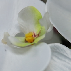 Fiore artificiale Phalaenopsis 90 cm bianco