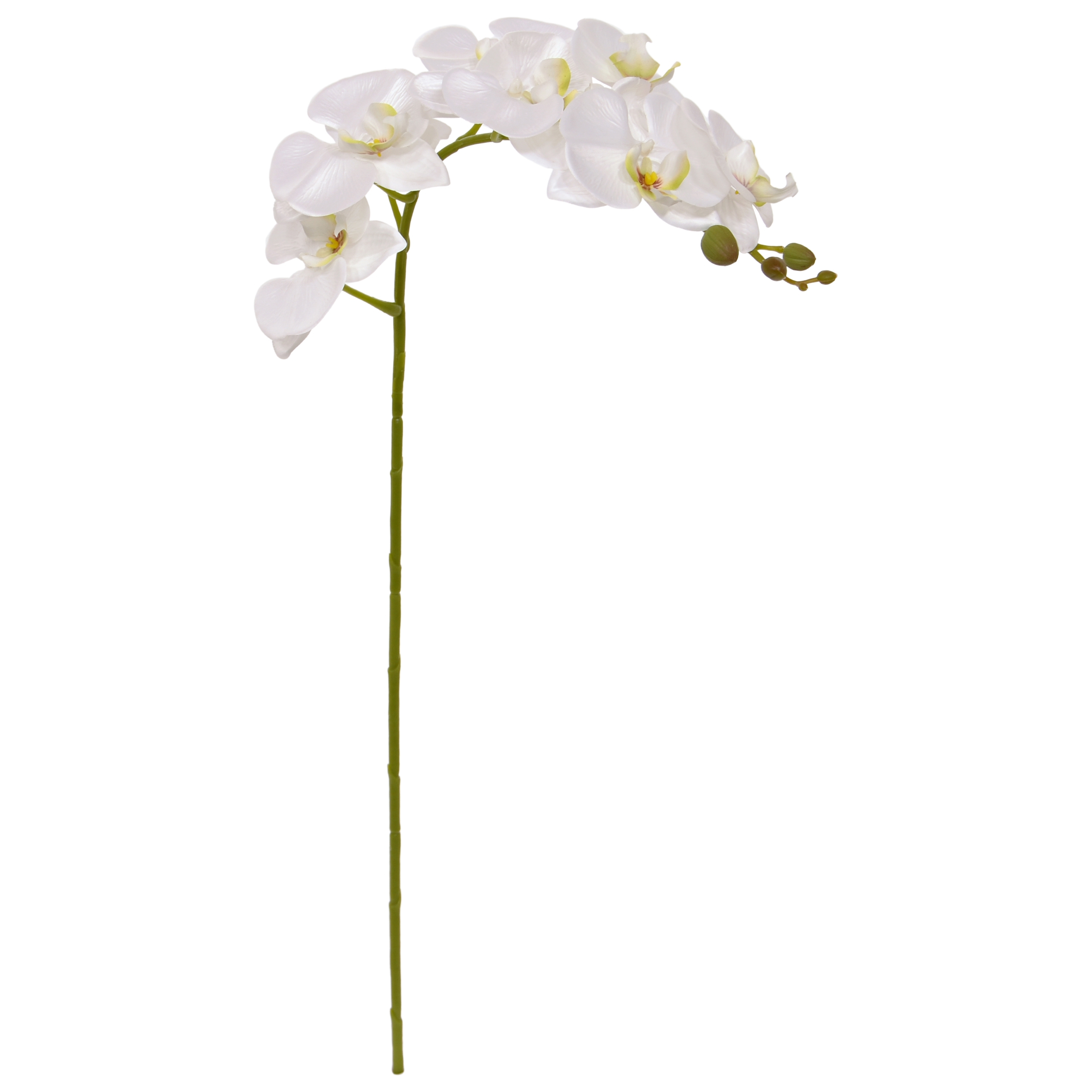 Fiore artificiale Phalaenopsis 95 cm bianco