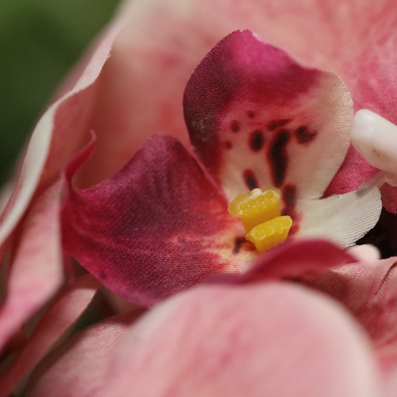 Phalaenopsis fiore artificiale 95cm Salmone