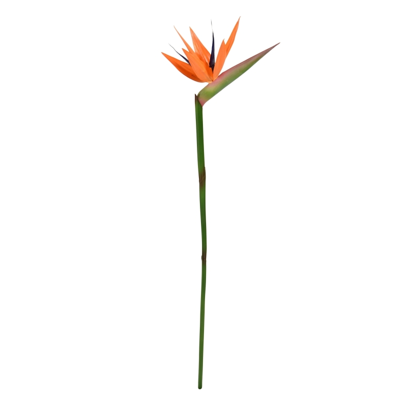 Ramo di Strelitzia Deluxe 90cm Arancione
