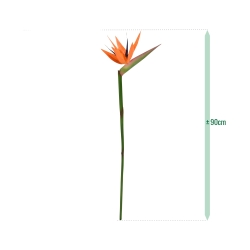 Ramo di Strelitzia Deluxe 90cm Arancione