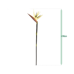 Ramo di Strelitzia Deluxe 90cm Crema