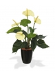 Pianta artificiale di Anthurium 40cm - crema in vaso da 10cm