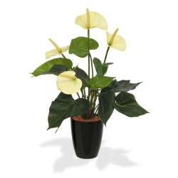 Pianta artificiale di Anthurium 40cm - crema in vaso da 10cm