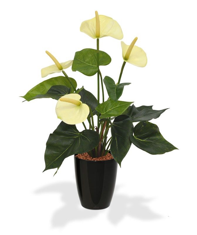 Pianta artificiale di Anthurium 40cm - crema in vaso da 10cm