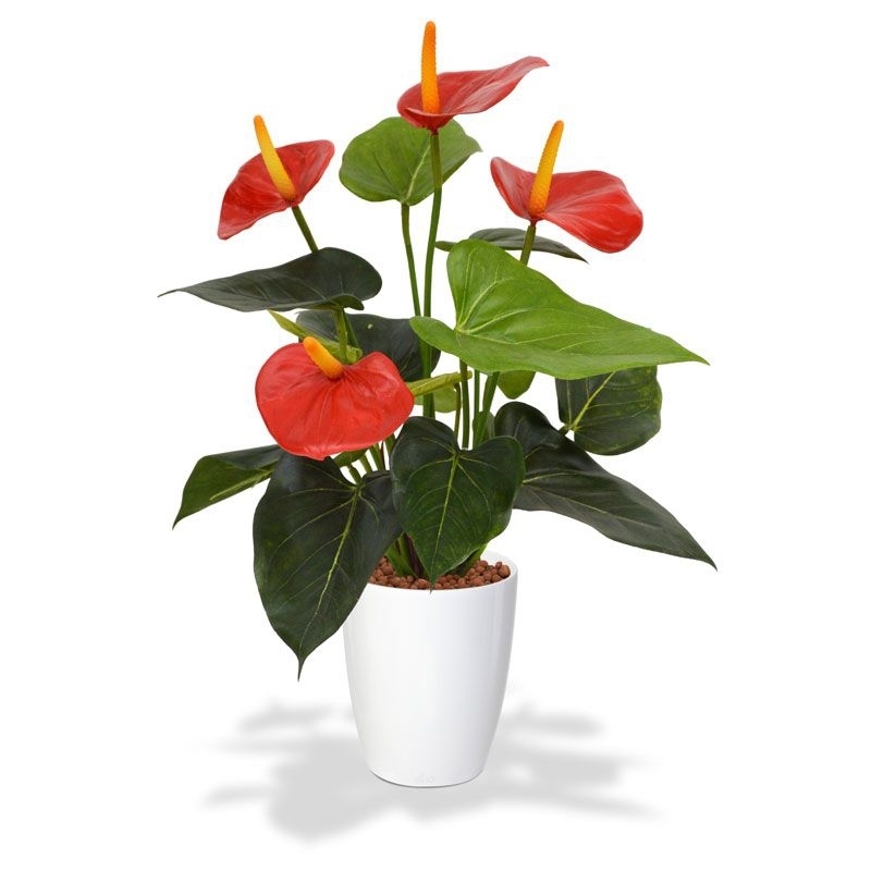Pianta artificiale di Anthurium 40cm - rosso in vaso da 10cm