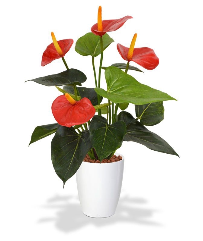 Pianta artificiale di Anthurium 40cm - rosso in vaso da 10cm