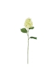 Ramo di Ortensia Artificiale 71cm Crema-Verde