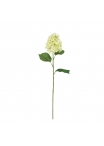 Ramo di Ortensia Artificiale 71cm Crema-Verde