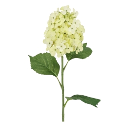 Ramo di Ortensia Artificiale 71cm Crema-Verde