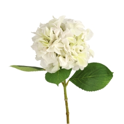 Ramo di Ortensia Artificiale N 67cm Crema