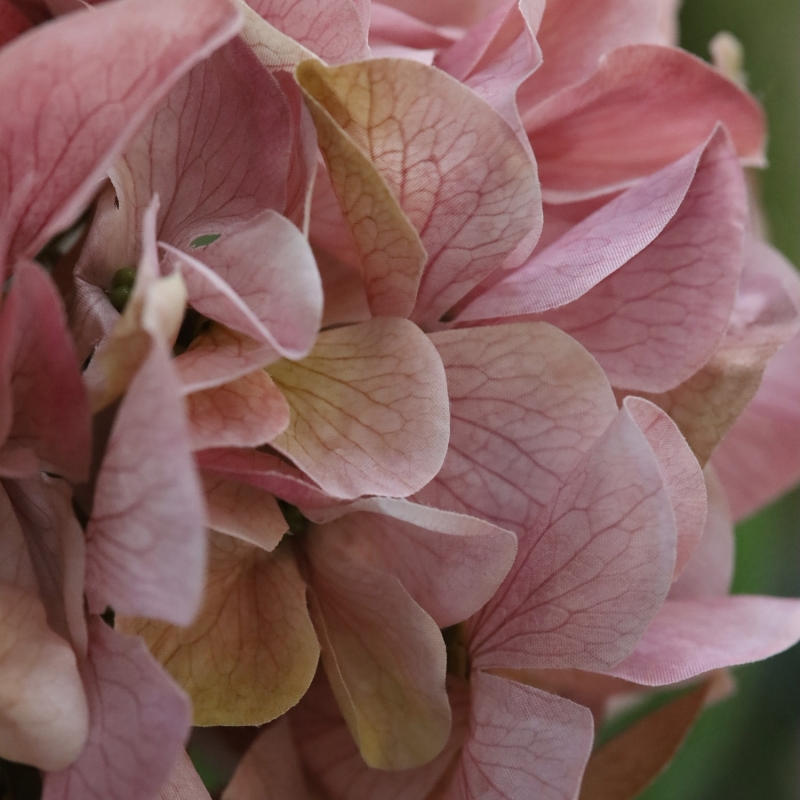 Ramo di Ortensia Artificiale N 67cm Rosa