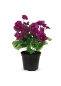 Pianta di Viola Artificiale 25 cm Viola in Vaso