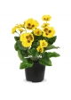 Pianta di Viola Artificiale 25 cm Gialla in Vaso