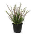 Pianta artificiale Erica Heather 30cm rosa