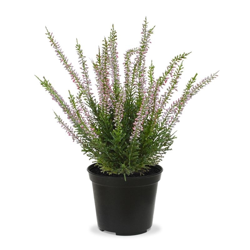 Pianta artificiale Erica Heather 30cm rosa