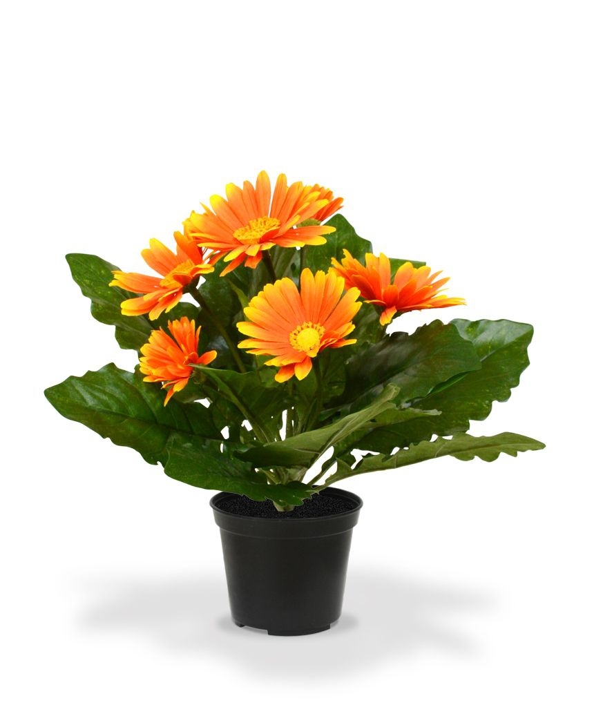 Pianta artificiale di gerbera in vaso 30 cm - arancione