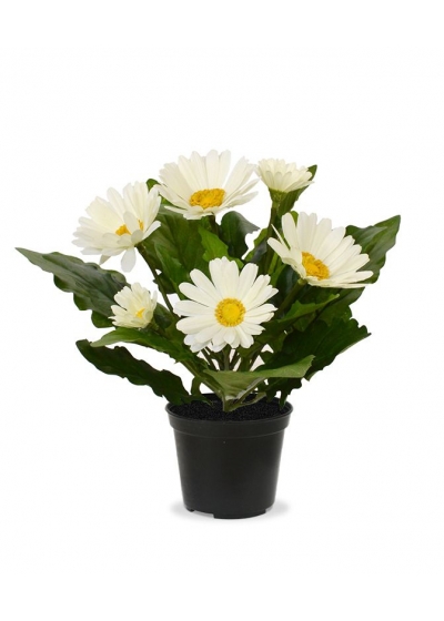 Pianta di Gerbera artificiale 30 cm crema