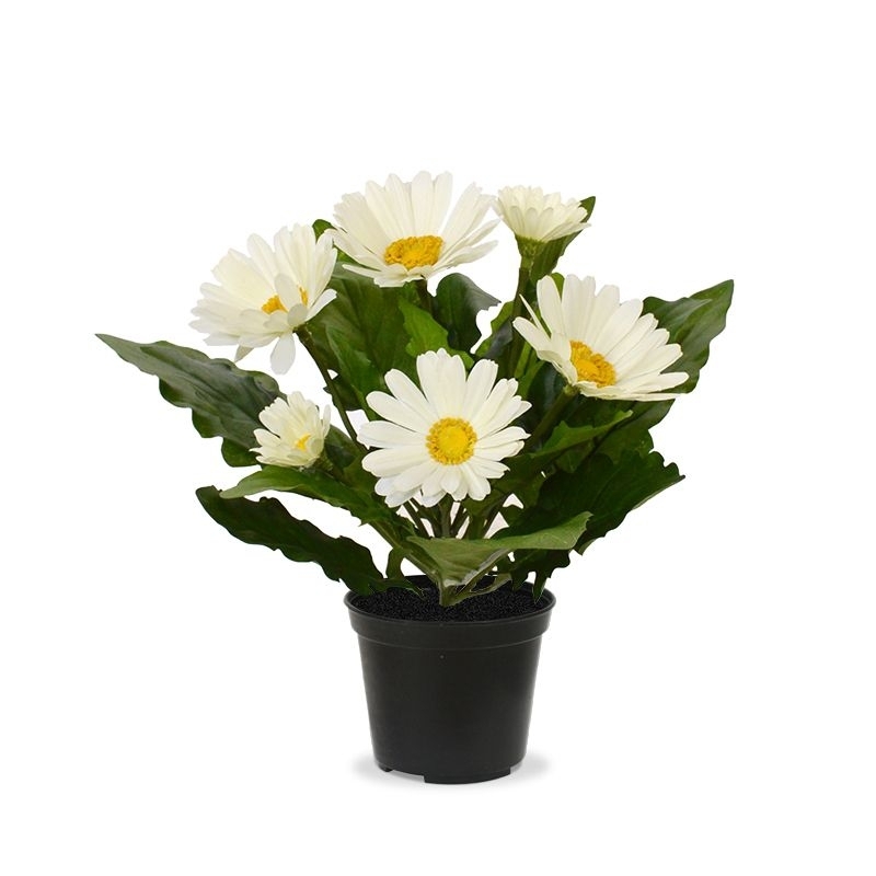 Pianta di Gerbera artificiale 30 cm crema