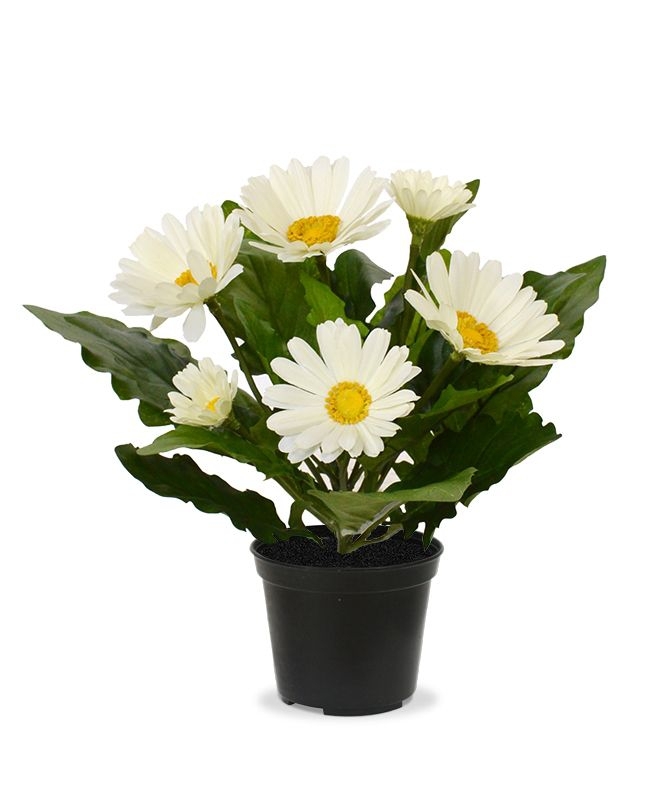 Pianta di Gerbera artificiale 30 cm crema