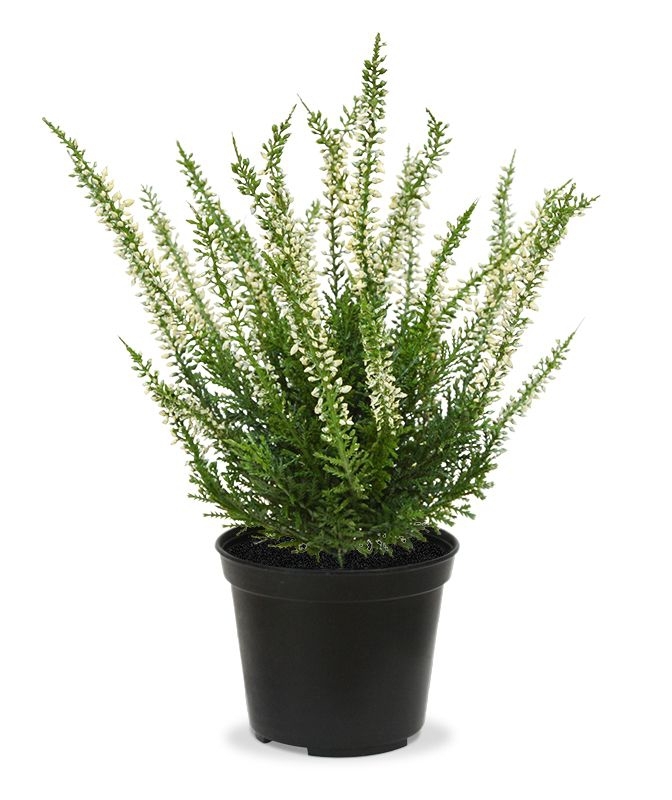 Pianta artificiale di erica 25cm - crema