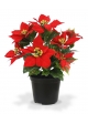 Pianta artificiale Poinsettia in vaso 40cm - rosso