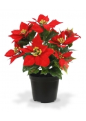 Pianta artificiale Poinsettia in vaso 40cm - rosso
