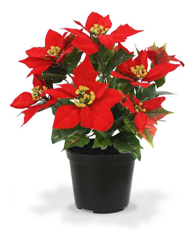 Pianta artificiale Poinsettia in vaso 40cm - rosso