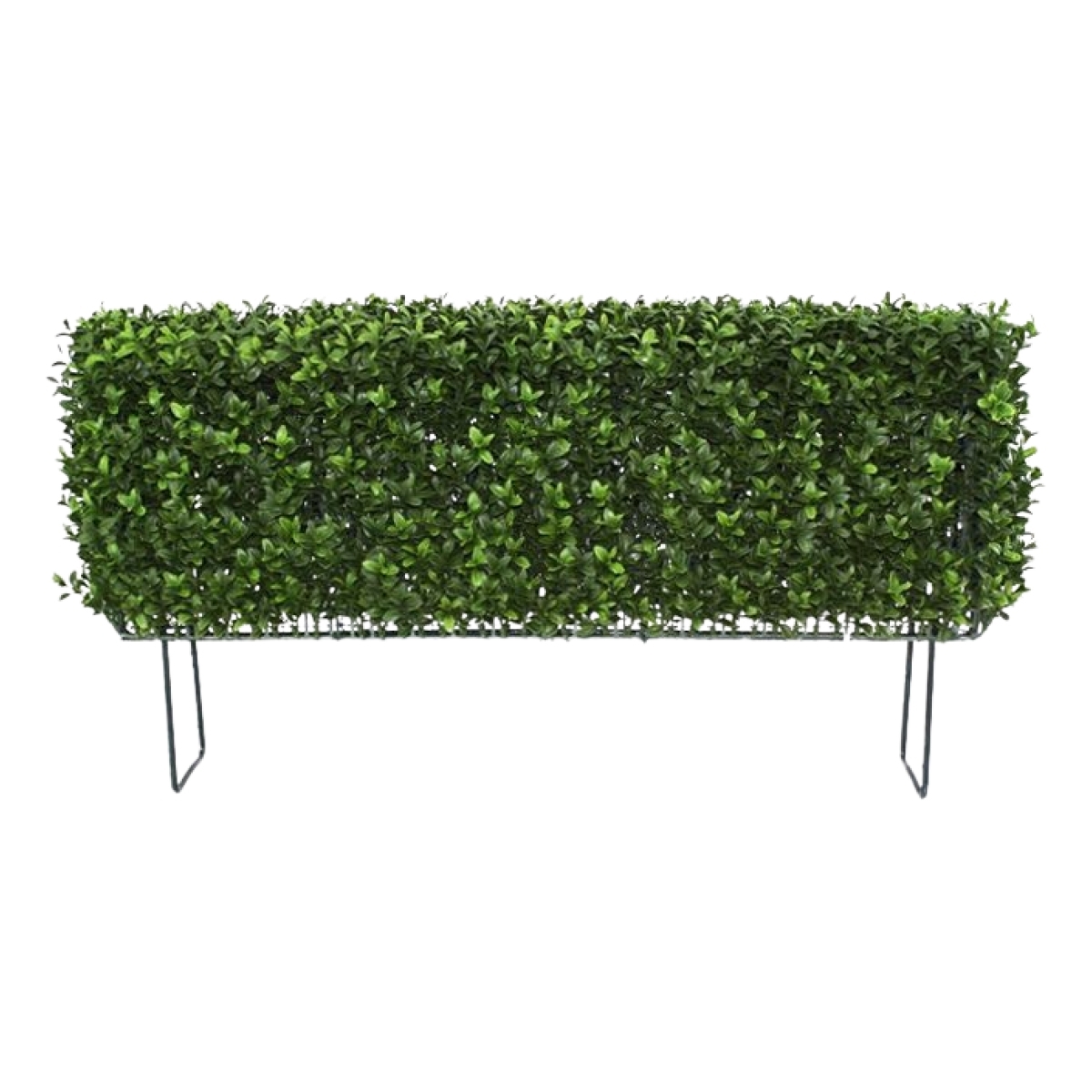 Siepe artificiale di bosso deluxe 80x27cm - resistente ai raggi UV