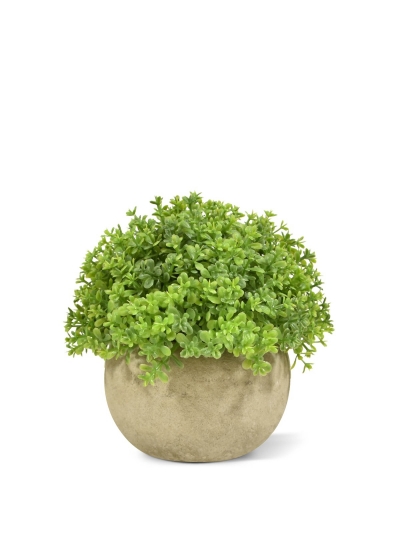 Mini Buxus artificiale in vaso 14 cm - verde
