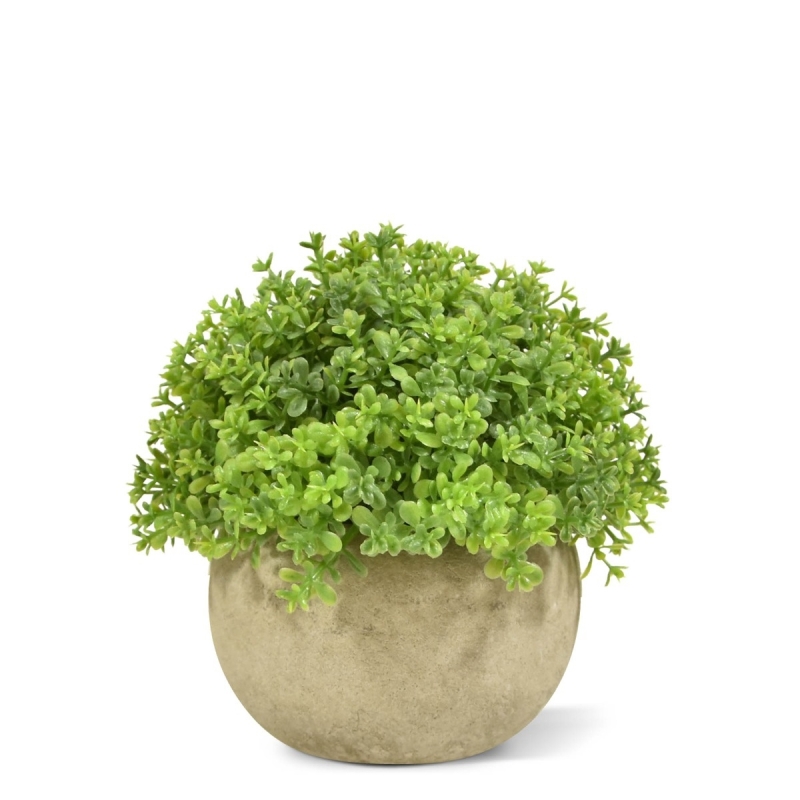 Mini Buxus artificiale in vaso 14 cm - verde