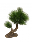 Pinus mini bonsai artificiale su piede 35cm