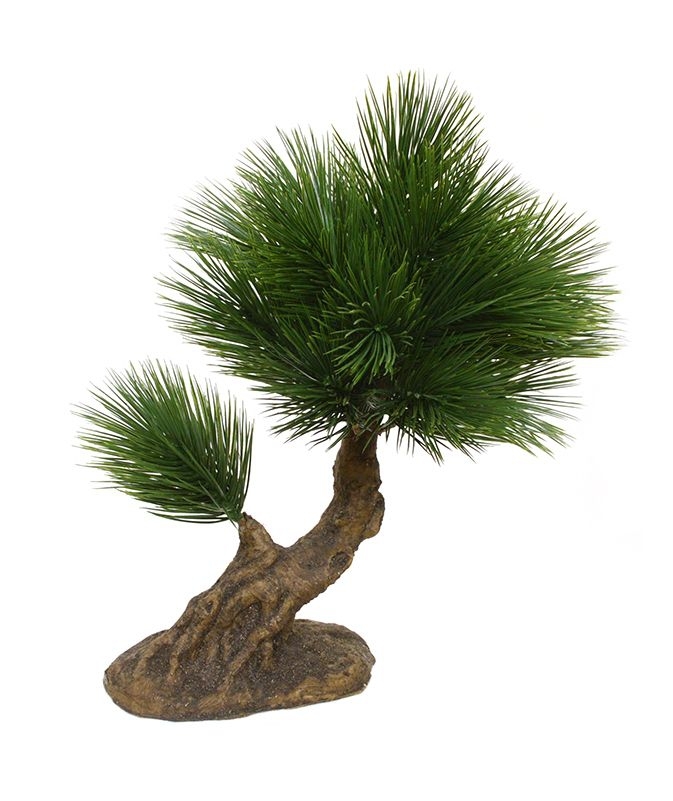 Pinus mini bonsai artificiale su piede 35cm