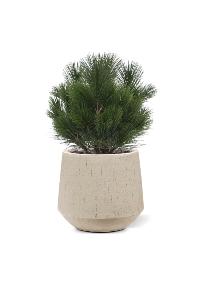 Pianta artificiale a bulbo di Pinus 45 cm - resistente ai raggi UV