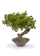 Pinus Bonsai pianta artificiale in ciotola 40cm