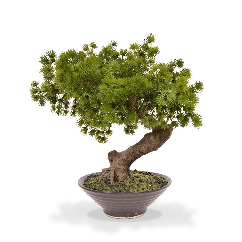 Pinus Bonsai pianta artificiale in ciotola 40cm