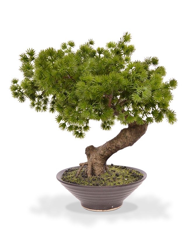 Pinus Bonsai pianta artificiale in ciotola 40cm