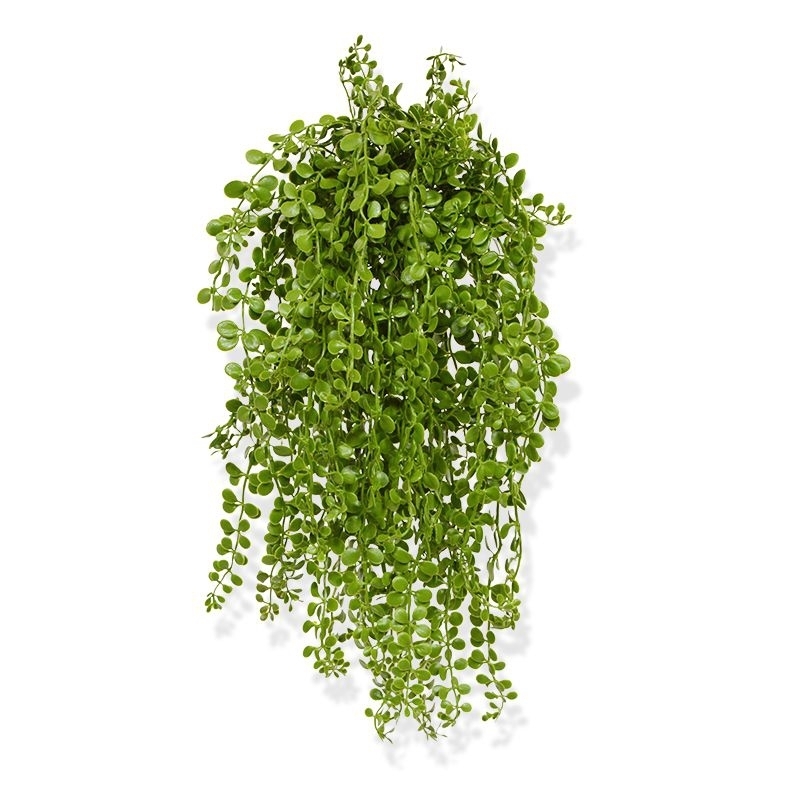 Dischidia artificiale 40 cm UV
