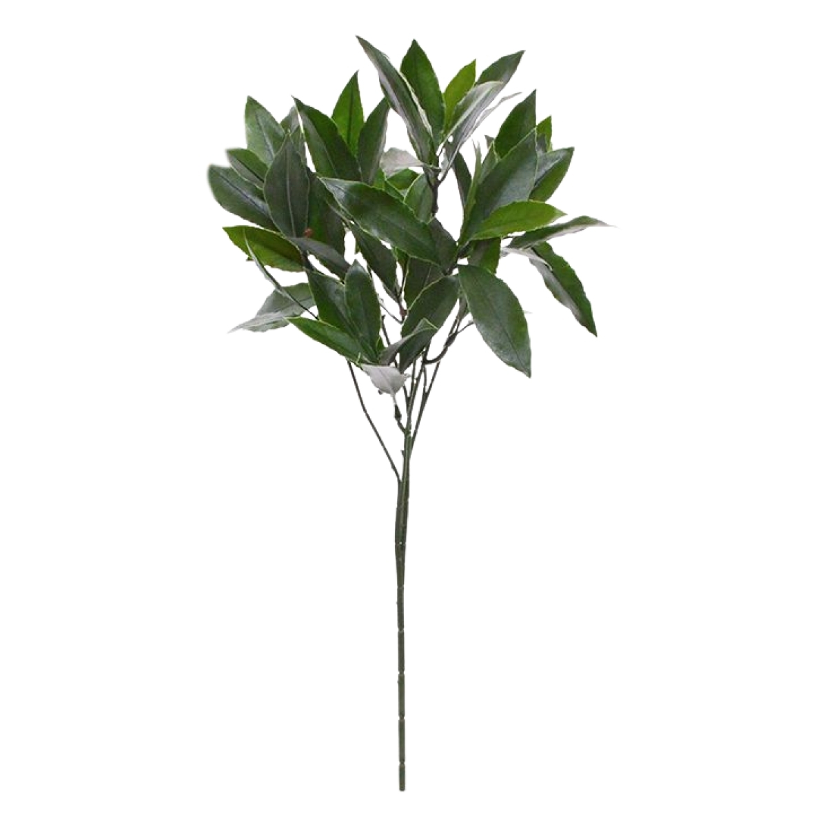 Ramo artificiale di alloro da 50 cm - resistente ai raggi UV